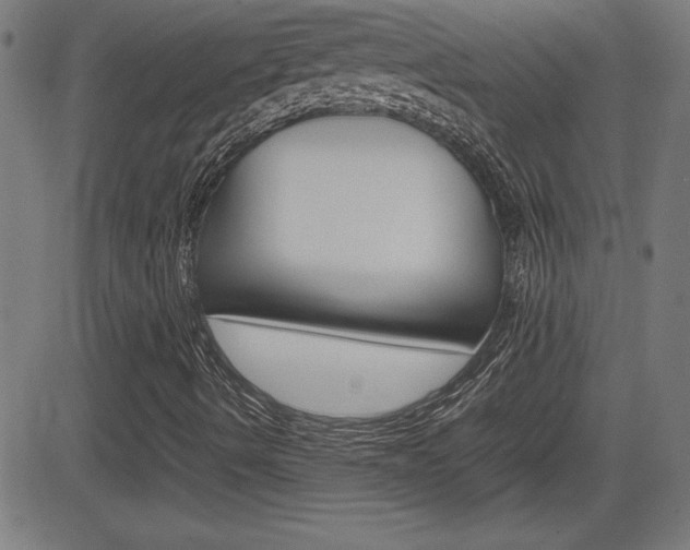 X0000083031490200702020904