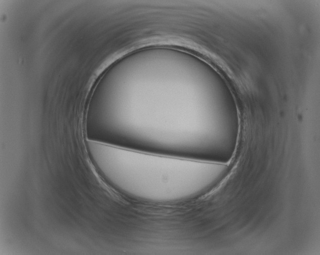X0000083031513200702020905