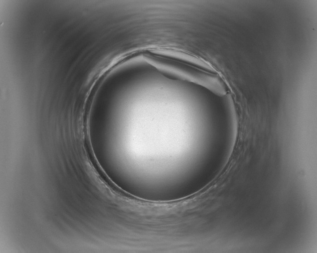 X0000083030002200702021138