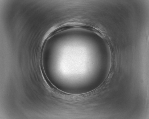X0000083030003200702021138