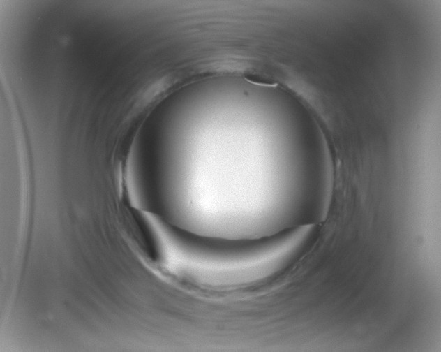 X0000083030013200702021138