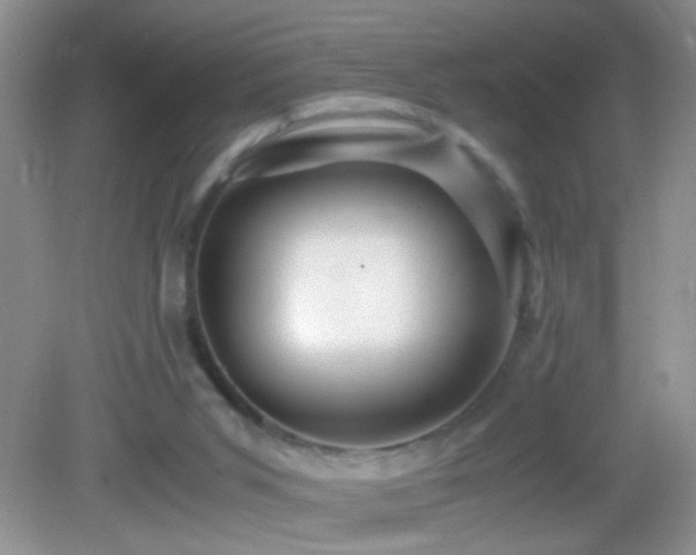 X0000083030015200702021138