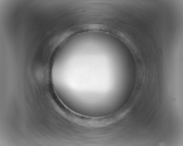 X0000083030016200702021138