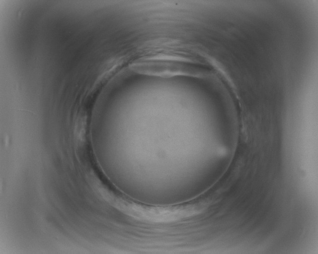 X0000083030018200702021138