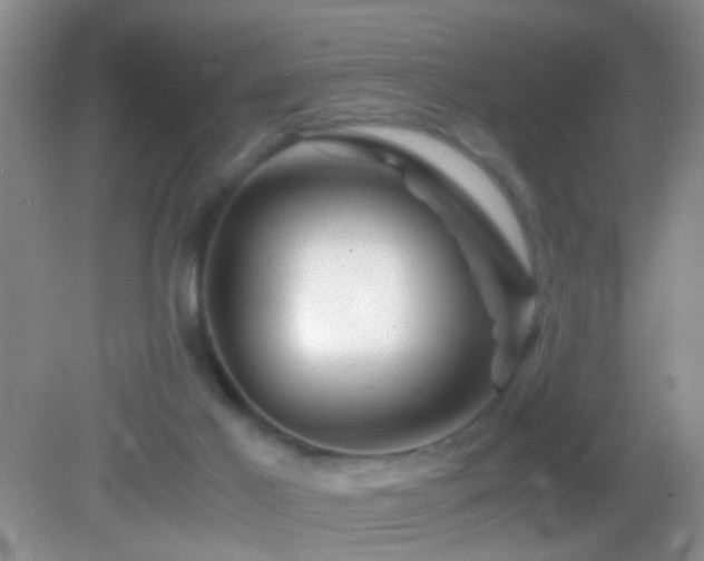 X0000083030021200702021137