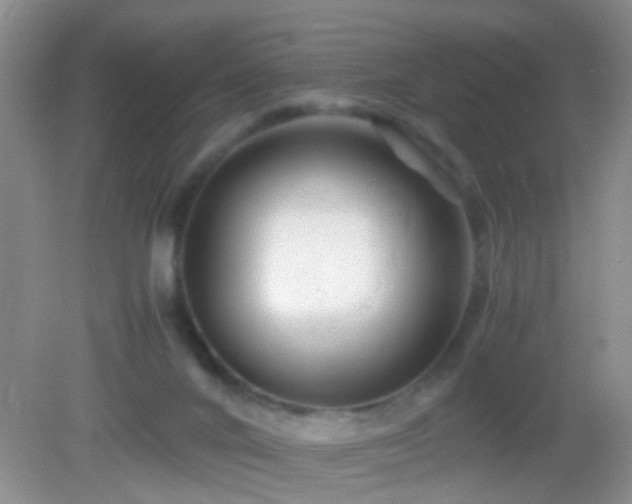 X0000083030024200702021137