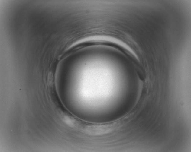 X0000083030025200702021137