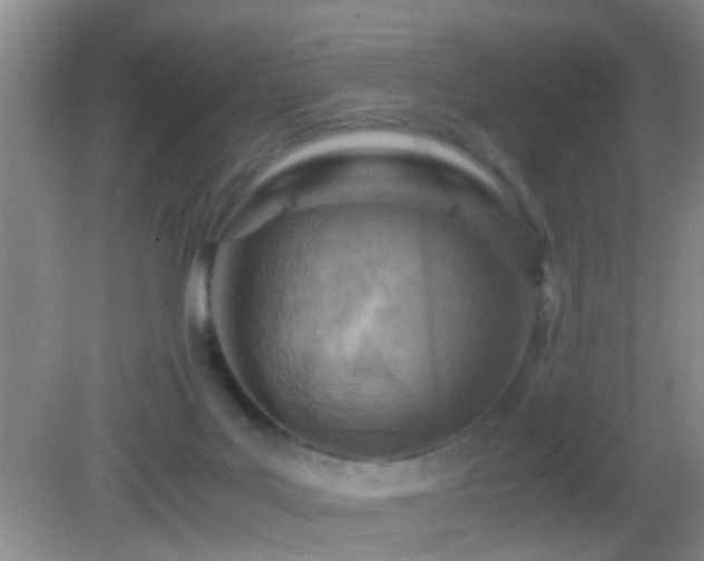 X0000083030027200702021137