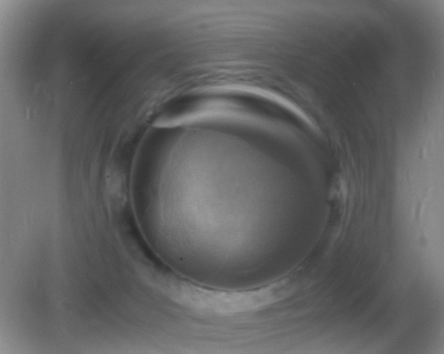 X0000083030031200702021137