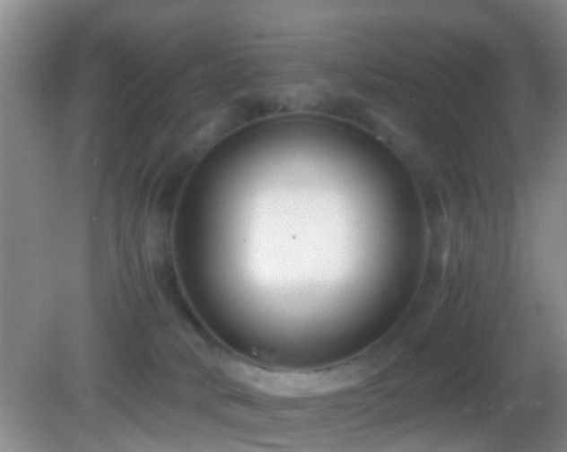 X0000083030034200702021137