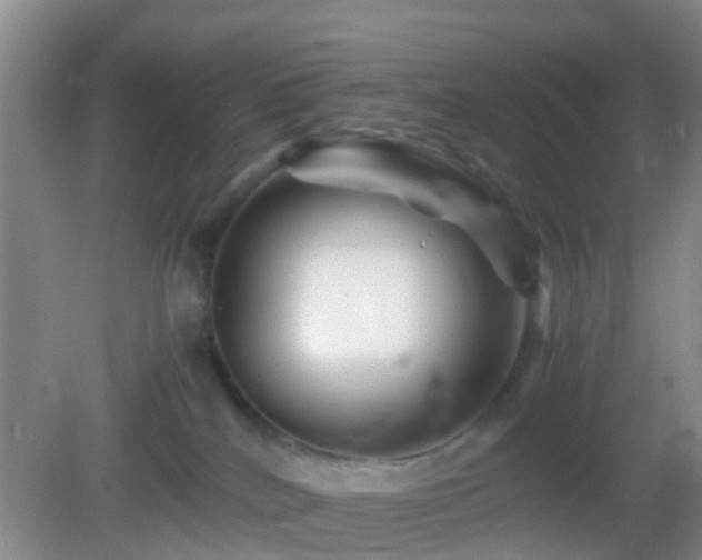 X0000083030040200702021137