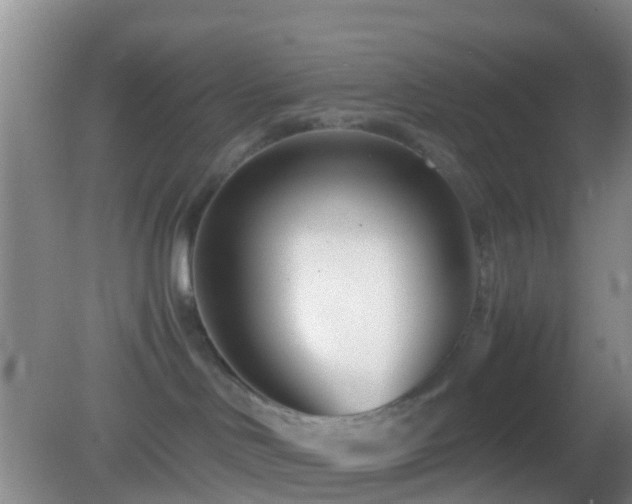 X0000083030046200702021137