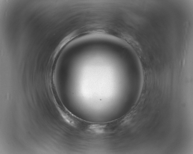 X0000083030051200702021136