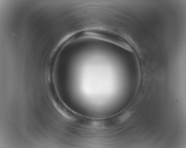 X0000083030060200702021136