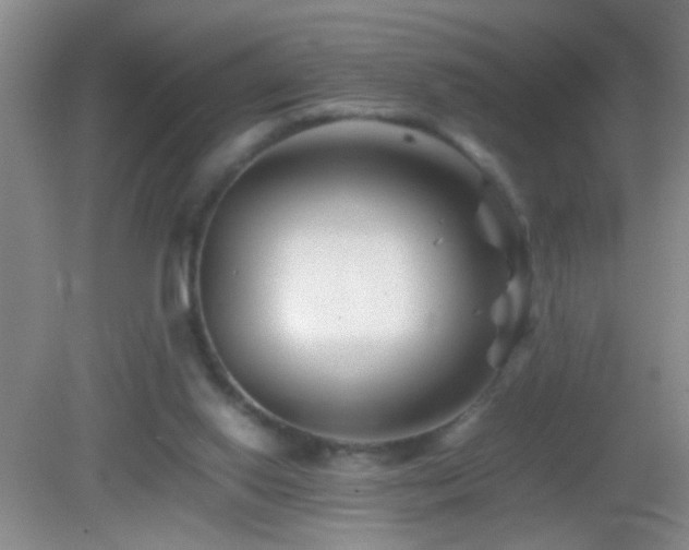 X0000083030062200702021136