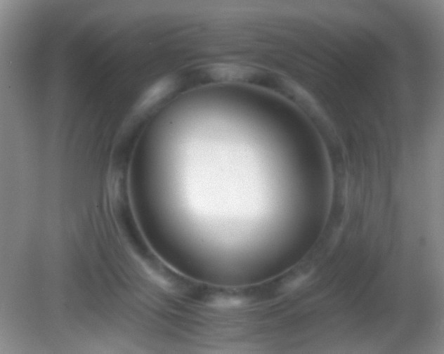 X0000083030071200702021137