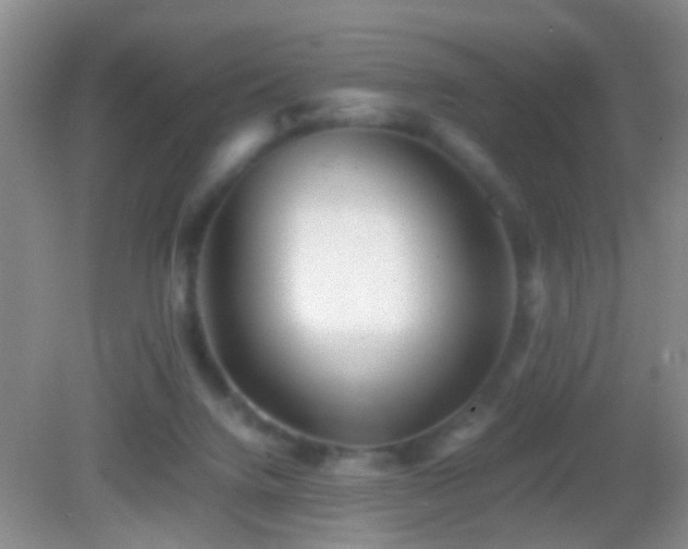 X0000083030072200702021137