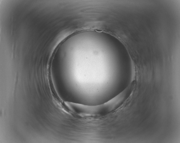 X0000083030100200702021136