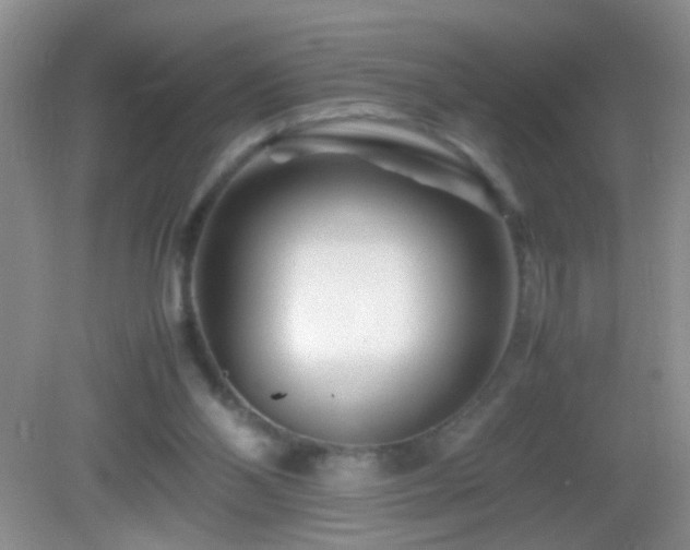 X0000083030110200702021136