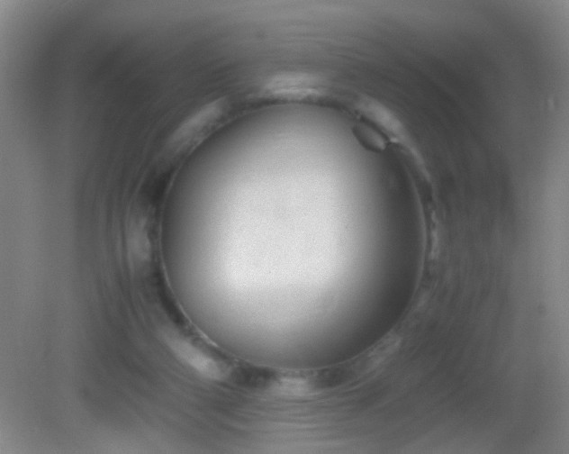 X0000083030114200702021136
