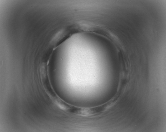 X0000083030121200702021136