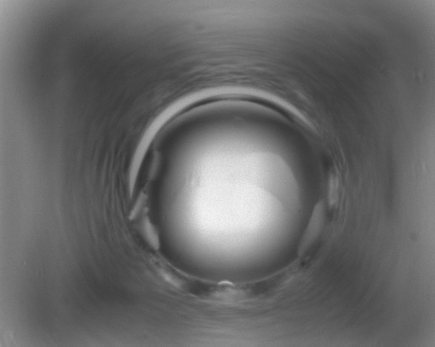 X0000083030125200702021136