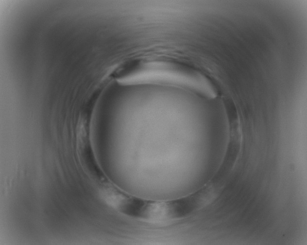 X0000083030127200702021136
