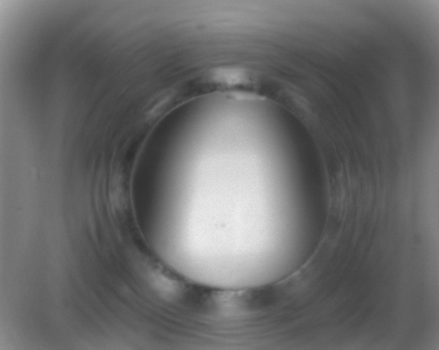 X0000083030136200702021136