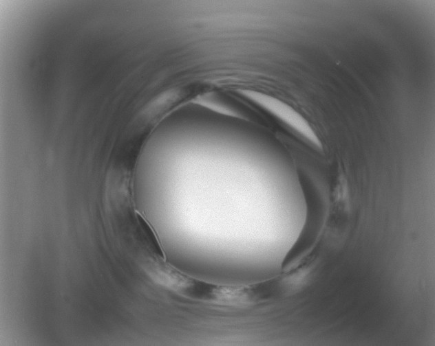 X0000083030141200702021135