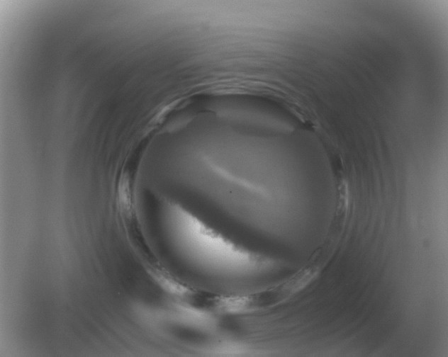 X0000083030143200702021135