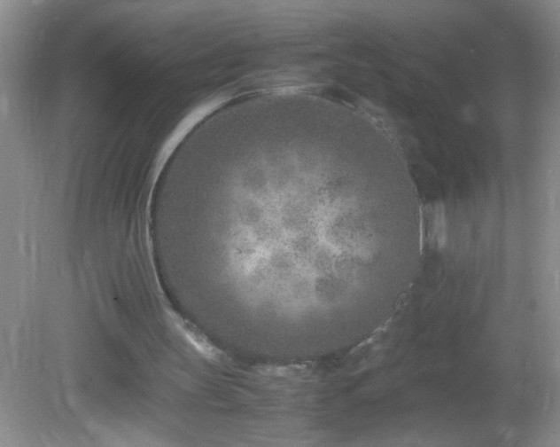 X0000083030147200702021135