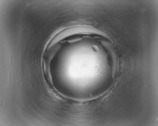 X0000083030148200702021135