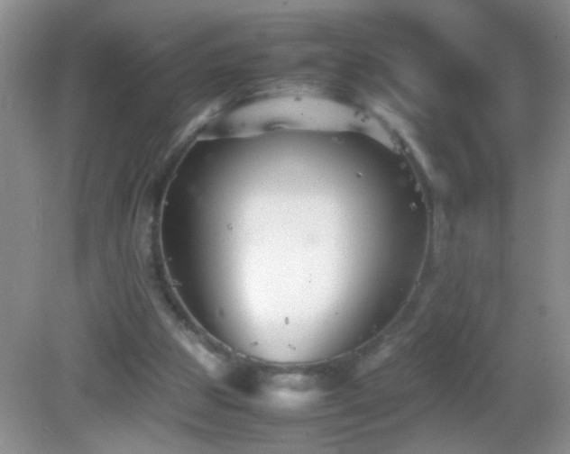 X0000083030153200702021135