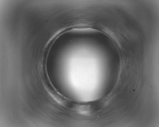 X0000083030155200702021135