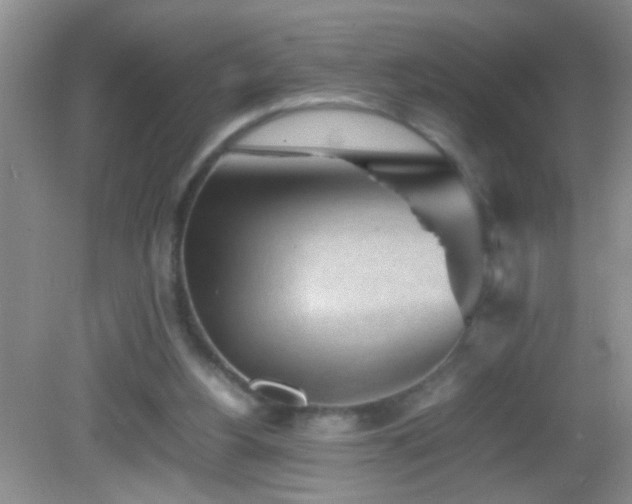 X0000083030156200702021135