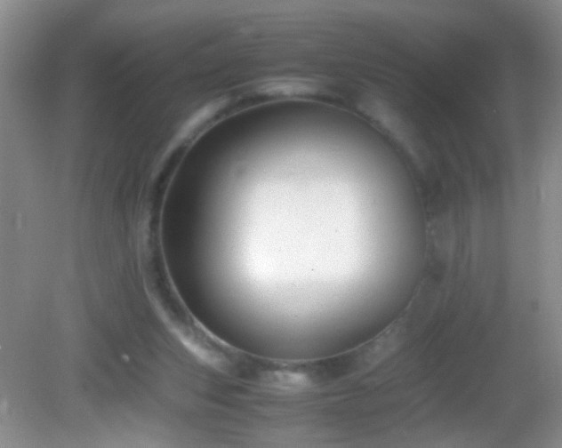 X0000083030159200702021135