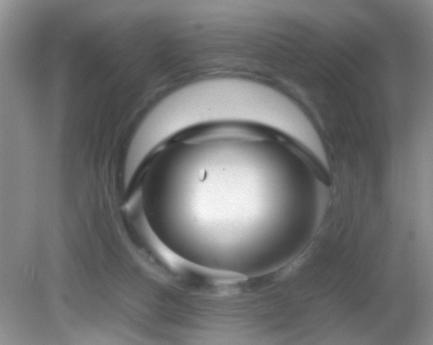 X0000083030162200702021135