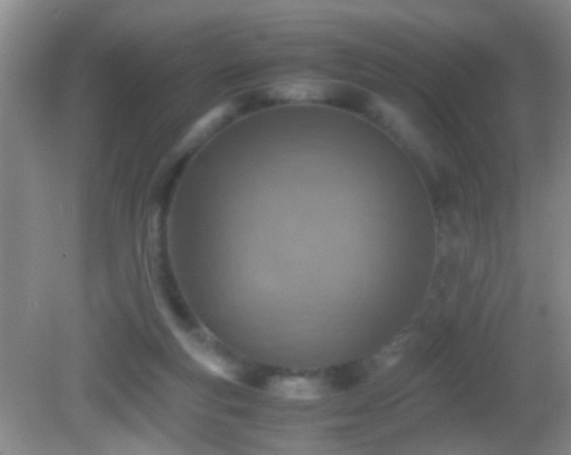 X0000083030163200702021135