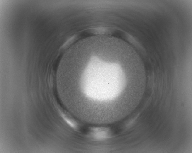 X0000083030165200702021135