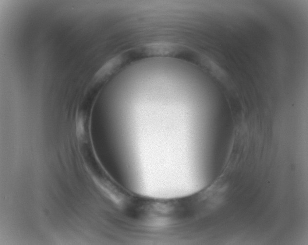 X0000083030166200702021135