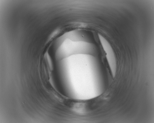 X0000083030168200702021135