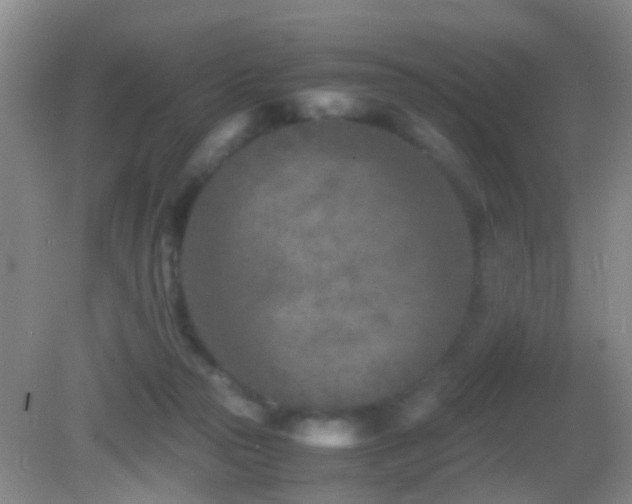 X0000083030169200702021135