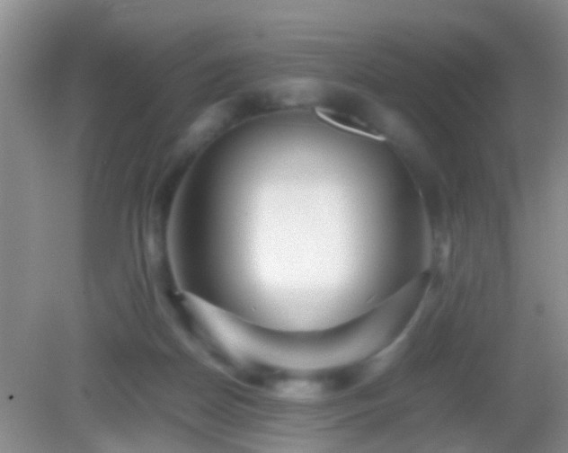 X0000083030170200702021135