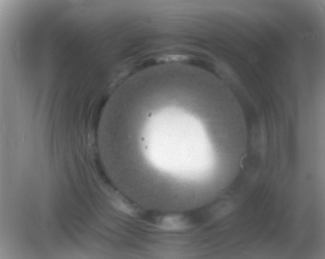 X0000083030173200702021135