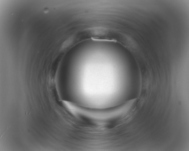 X0000083030176200702021135