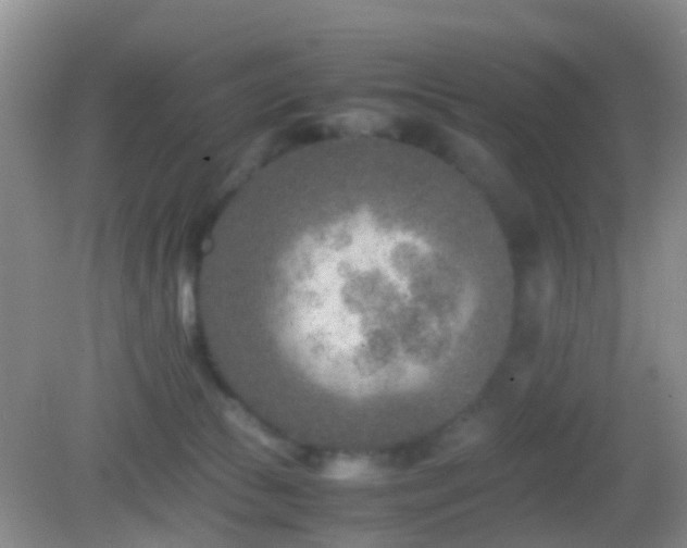 X0000083030177200702021135