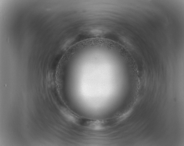 X0000083030182200702021135