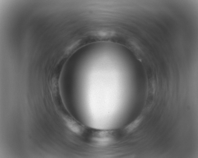 X0000083030184200702021135