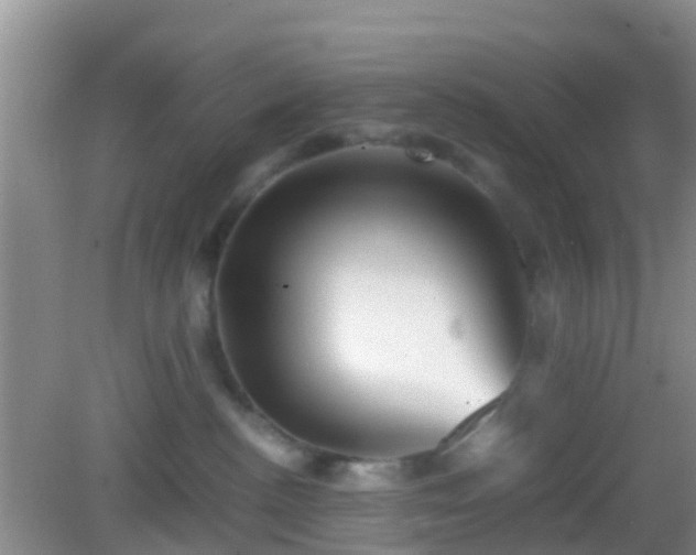 X0000083030188200702021135