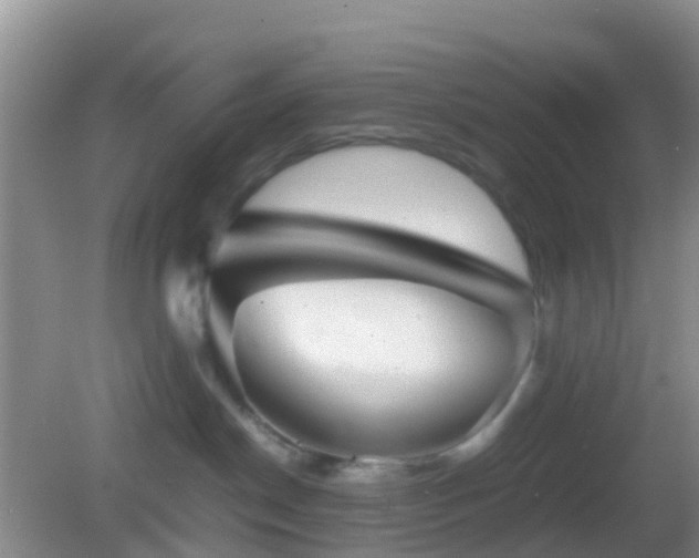 X0000083030190200702021135